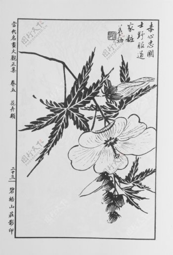 花卉画中国画当代名画大观正集34