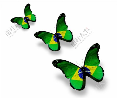 巴西国旗蝴蝶