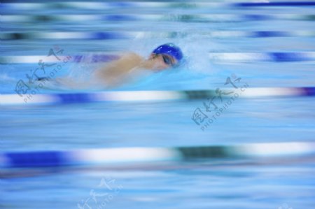 游泳的速度图片