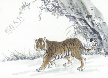 虎写意动物画国画0003
