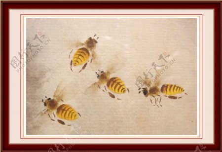 国画蜜蜂图片