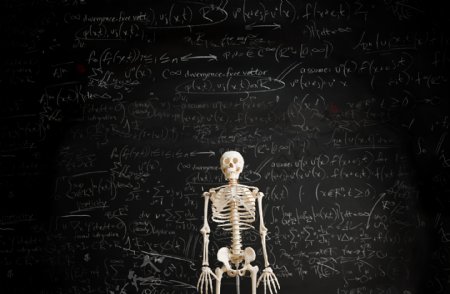 黑板前的人体骷髅骨骼图片