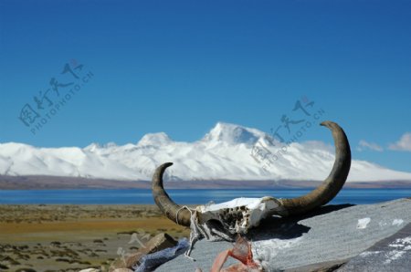 西藏纳木措风景区图片