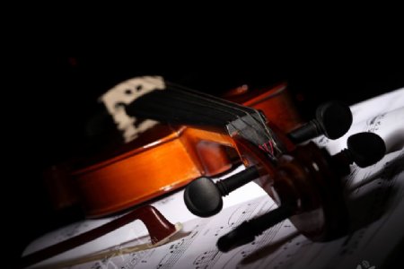 五线谱上的小提琴图片