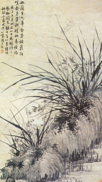 兰花中国画古典藏画