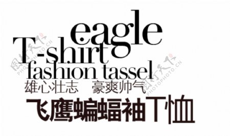 飞鹰蝙蝠袖T恤排版字体素材
