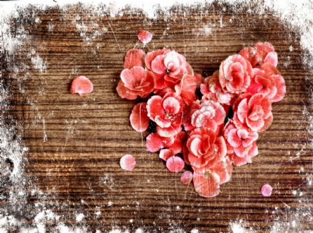 木板上的红色爱心花朵图片