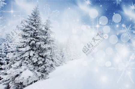 梦幻光斑与雪地风景