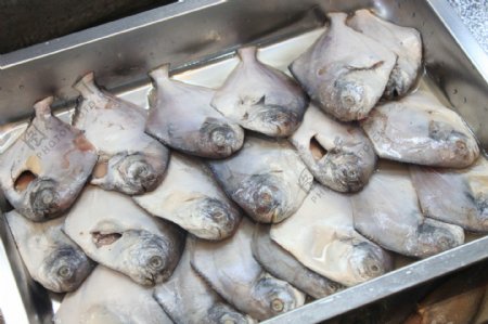 海鲜昌扁鱼鲳鱼图片