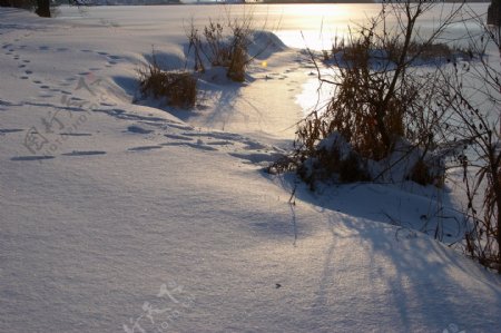 冬季雪景摄影