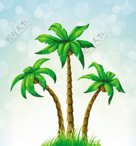 夏日椰子树矢量素材