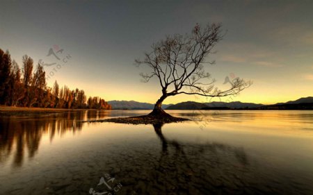 黄昏湖泊风景图片