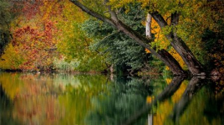 秋天的湖水图片