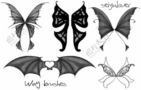 蝙蝠恶魔精灵妖精仙女PS翅膀笔刷素材