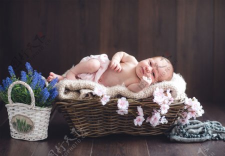 睡在篮子里的婴儿图片