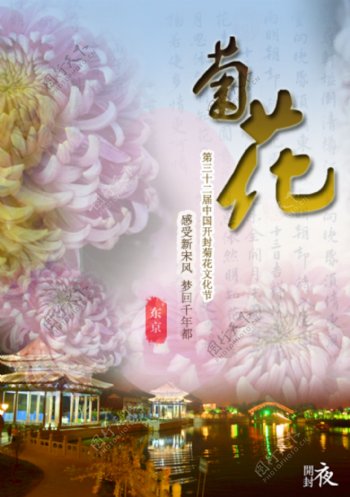 菊花文化节图片