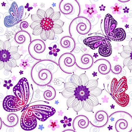 蝴蝶花语图片