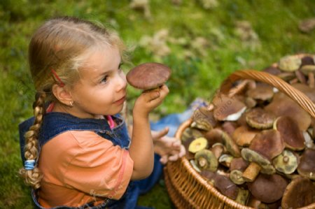 采蘑菇的小女孩图片