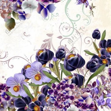 紫色花广告背景