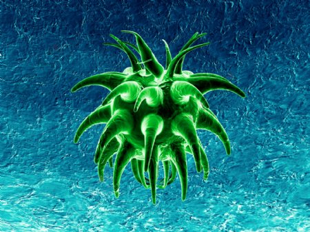 绿色微生物图片