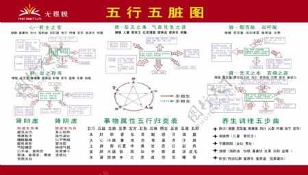 无限极五行五脏图相生