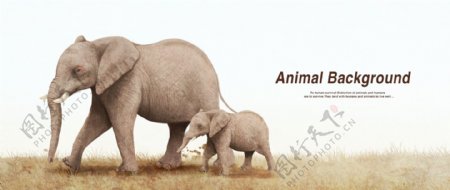 彩铅画效果动物分层背景大象