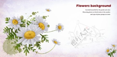 白色菊花浪漫海报背景
