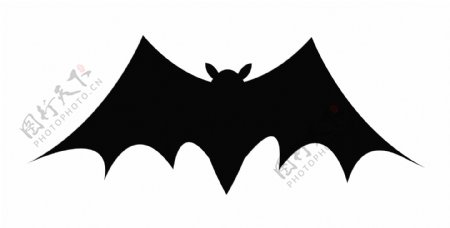 可怕的万圣节蝙蝠形状