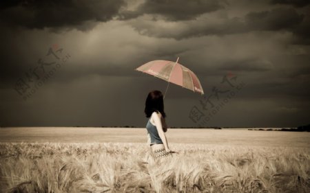 稻田里打伞的女孩
