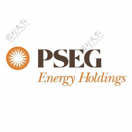 PSEG能源控股