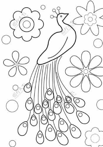 孔雀线稿图花朵