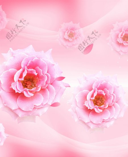 漂亮粉色玫瑰花花朵移门图