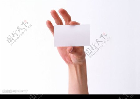 手手的表情手势手的姿势卡片