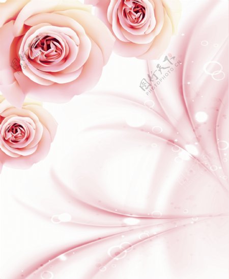 3D高清粉红玫瑰背景墙