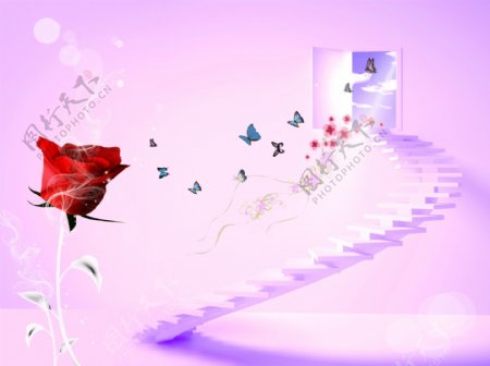3D空间楼梯玫瑰蝴蝶