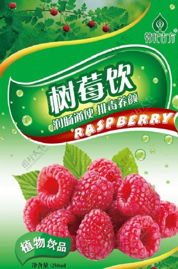 树莓饮植物饮品包装设计