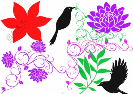 鸟儿及花纹笔刷