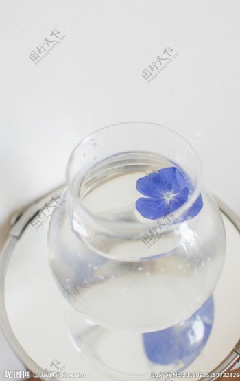 透明玻璃鱼缸