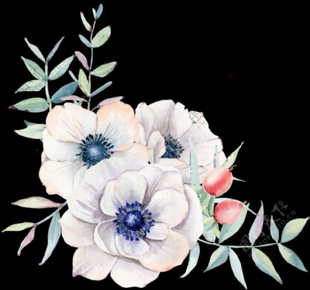 手绘白色茶花透明装饰图案