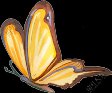手绘黄色蝴蝶透明装饰图案
