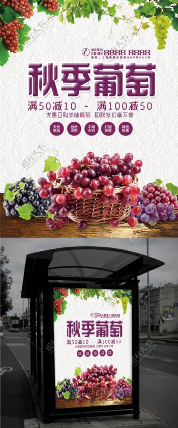简约清新秋季葡萄水果海报