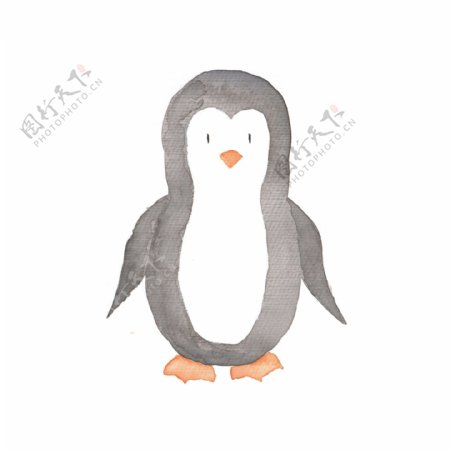 手绘小企鹅手绘卡通动物透明
