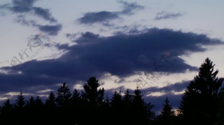 夜晚天空的云朵和树木的间隔