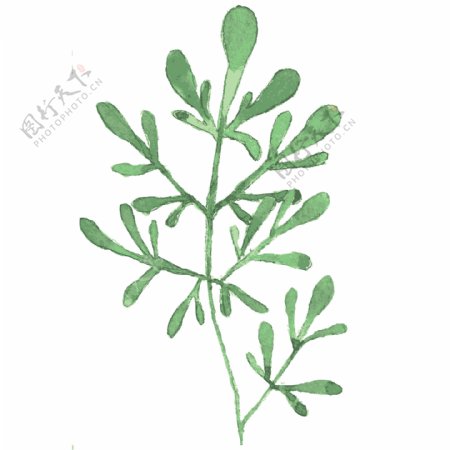 绿色水墨植物透明素材