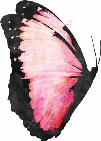 粉色蝴蝶卡通透明装饰素材