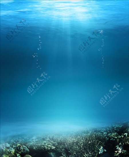 海底世界水下素材水下摄影素