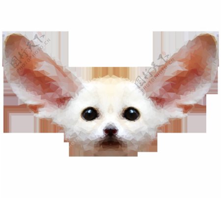 白色耳廓狐头像免抠png透明素材