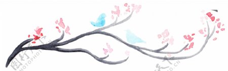 水彩小鸟与花卉透明装饰素材