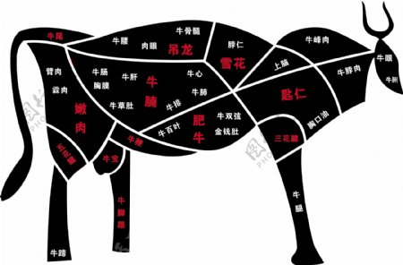 牛肉分割图说明图案