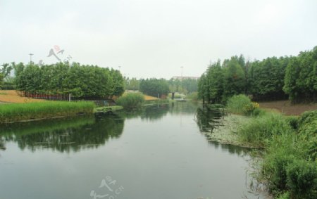 上海后滩公园